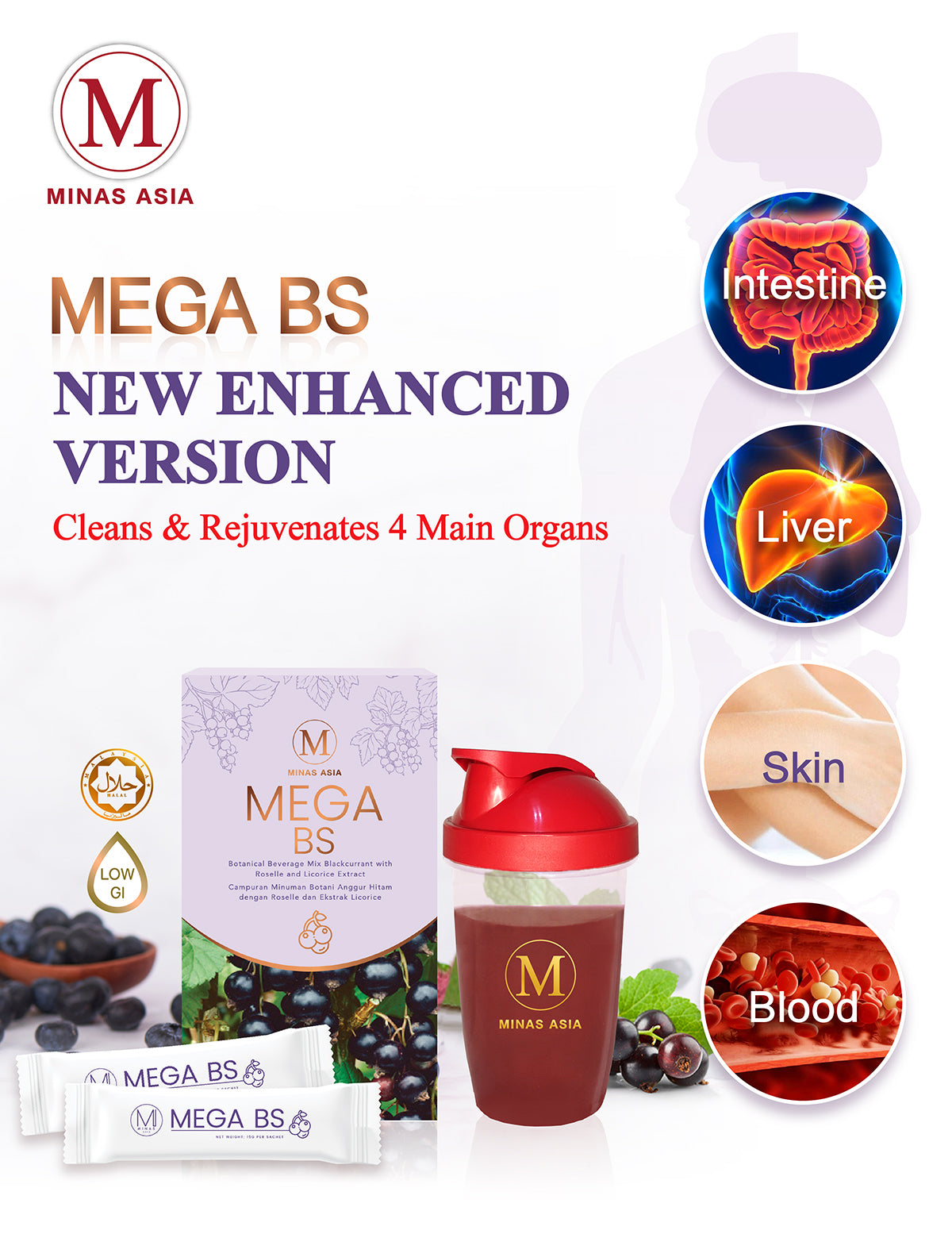 MEGA BS Cleans and rejuvenates 4 main organs
