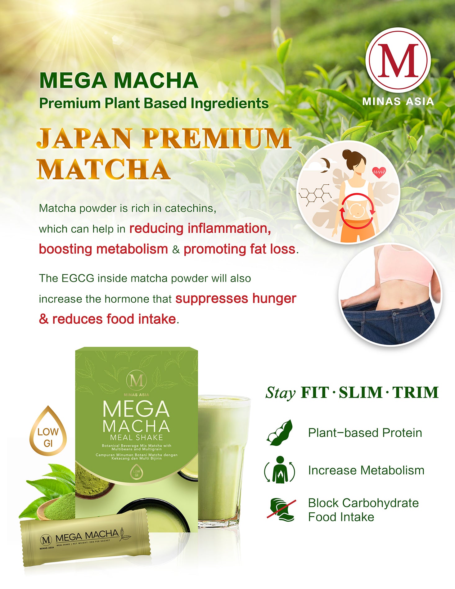 Mega Macha Japan Premium Matcha
