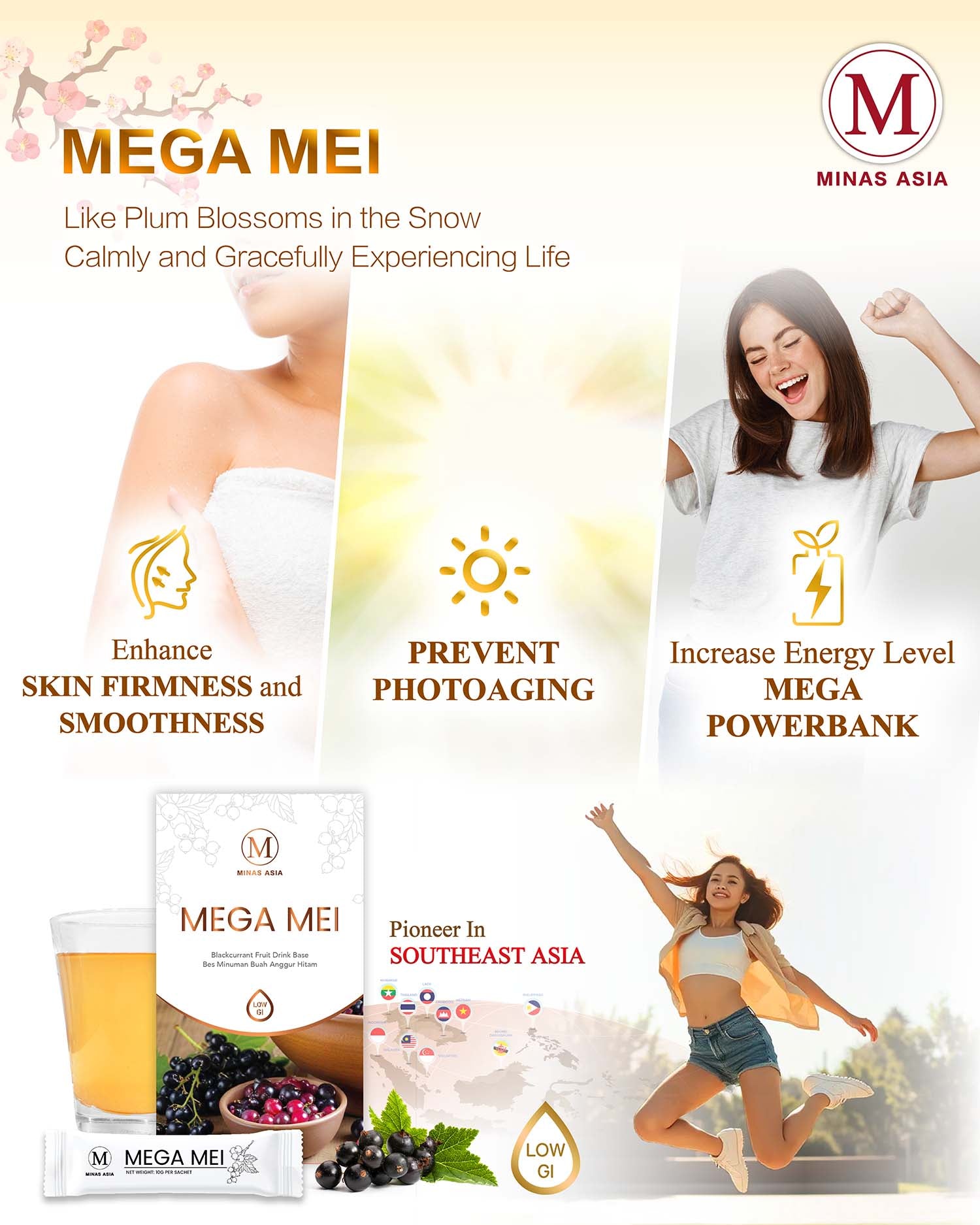 Mega Mei 3 Main Functions