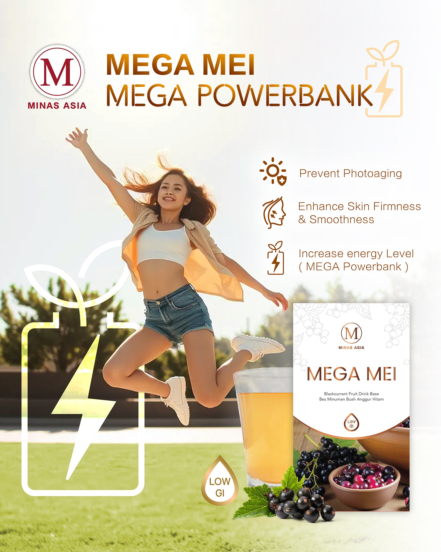 Mega Mei Mega Powerbank