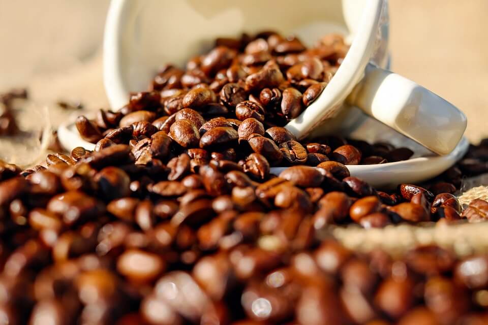 coffee bean