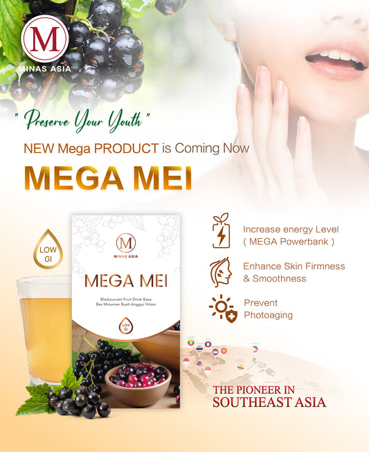 MEGA MEI (3 Boxes)