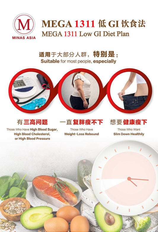 MEGA 1311 Low GI Diet Plan