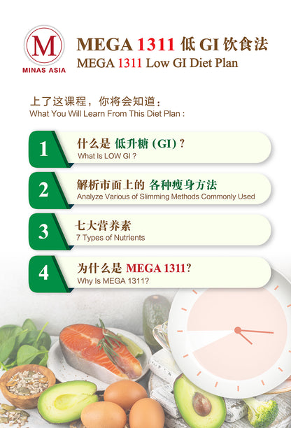 MEGA 1311 Low GI Diet Plan