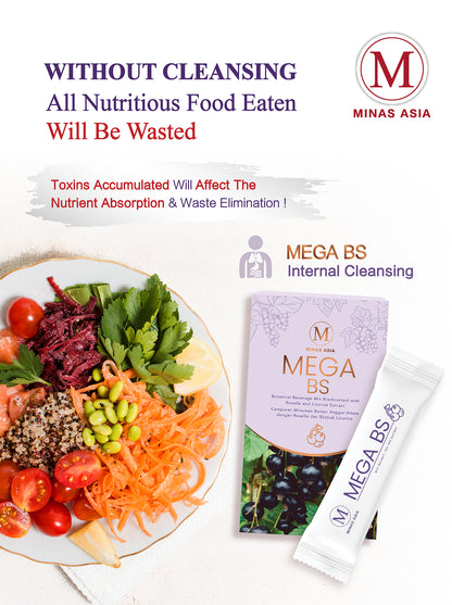 MEGA BS (6 Boxes FREE 1)