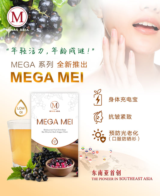 MEGA MEI