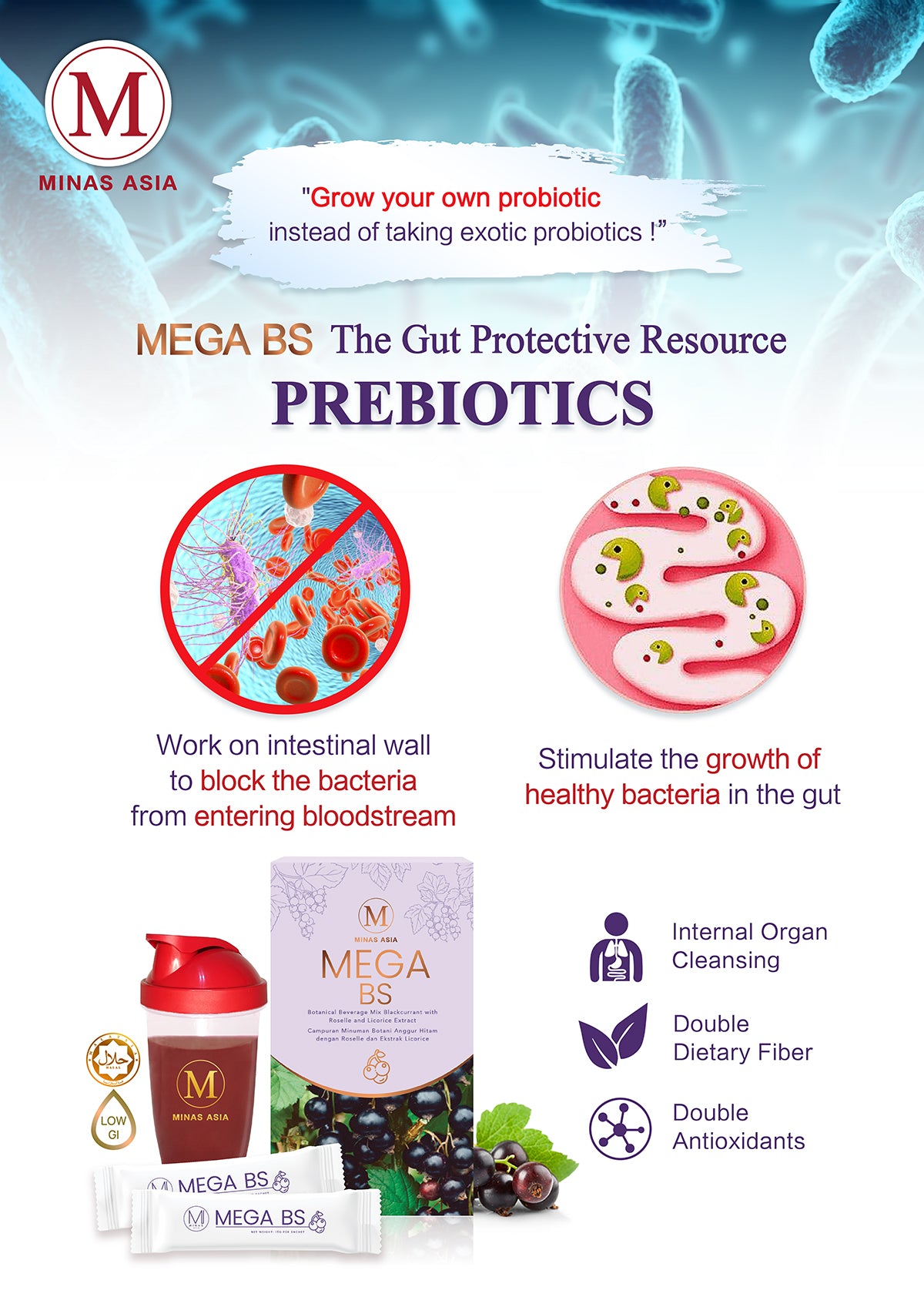MEGA BS : Gut booster and protective resource with Prebiotics 