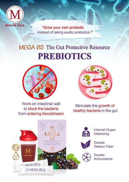 MEGA BS : Gut booster and protective resource with Prebiotics 