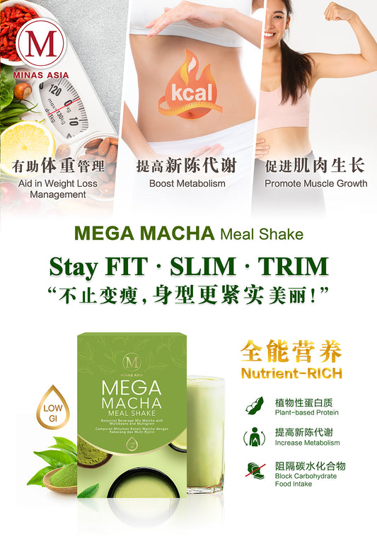 MEGA MACHA