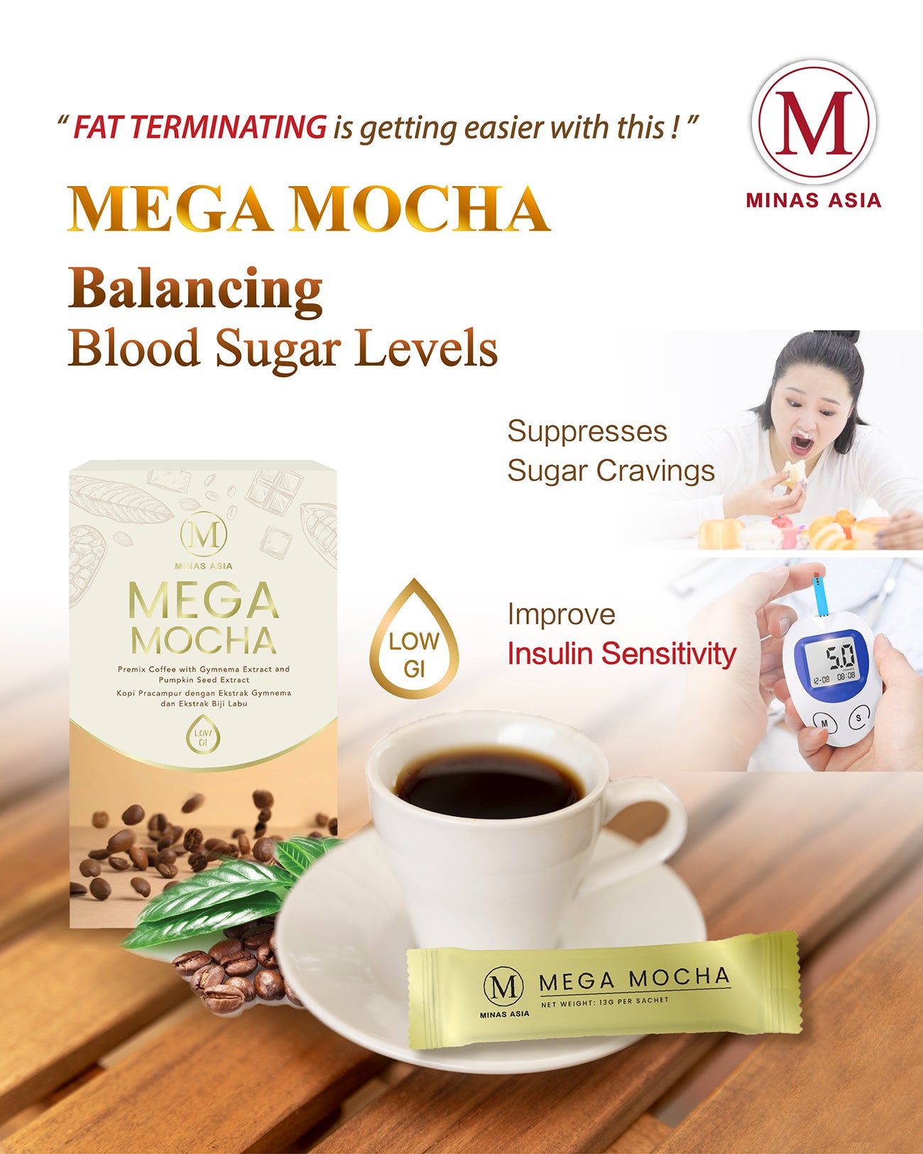 Mega Mocha Balancing Blood Sugar Levels