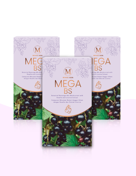 MEGA BS (3 Boxes)