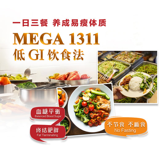MEGA 1311 Low GI Diet Plan